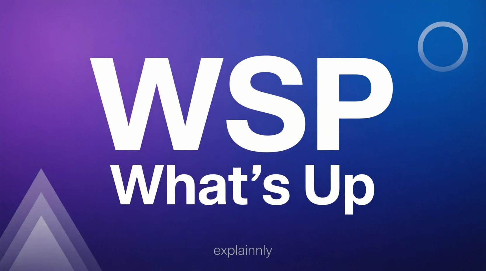 WSP Meaning Mean in Text 2026