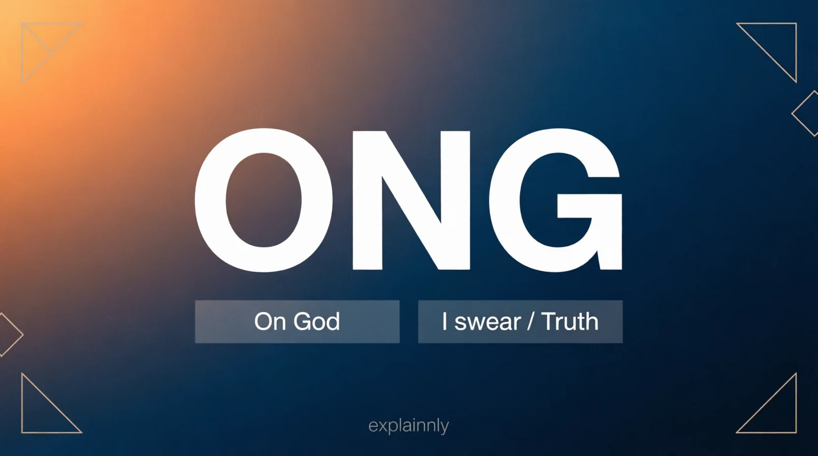 ONG Meaning What It Really 2026